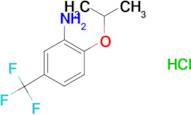 2-Isopropoxy-5-trifluoromethyl-phenylamine hydrochloride