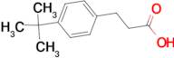 3-(4-tert-Butyl-phenyl)-propionic acid