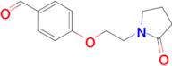 4-[2-(2-Oxo-pyrrolidin-1-yl)-ethoxy]-benzaldehyde