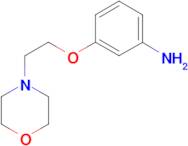 3-(2-Morpholin-4-yl-ethoxy)-phenylamine