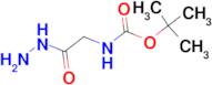Hydrazinocarbonylmethyl-carbamic acid tert-butyl ester