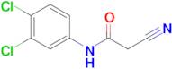 2-Cyano-N-(3,4-dichloro-phenyl)-acetamide