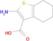 2-Amino-4,5,6,7-tetrahydro-benzo[b]thiophene-3-carboxylic acid