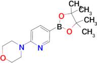 6-Morpholinopyridin-3-ylboronic acid pinacol ester