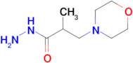 2-Methyl-3-morpholin-4-ylpropanohydrazide