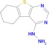 4-Hydrazino-5,6,7,8-tetrahydro[1]benzothieno[2,3-d]pyrimidine