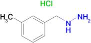 (3-Methylbenzyl)hydrazine hydrochloride