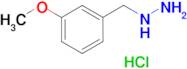 (3-Methoxybenzyl)hydrazine hydrochloride