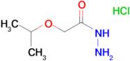 2-Isopropoxyacetohydrazidehydrochloride