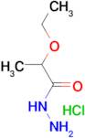 2-Ethoxypropanohydrazidehydrochloride