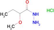 2-Methoxybutanohydrazidehydrochloride