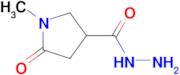 1-Methyl-5-oxo-3-pyrrolidinecarbohydrazide