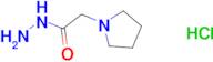 2-(1-pyrrolidinyl)acetohydrazide hydrochloride