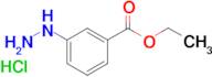 Ethyl 3-hydrazinobenzoate hydrochloride