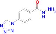 4-(1H-Tetrazol-1-yl)benzohydrazide