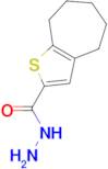 5,6,7,8-Tetrahydro-4H-cyclohepta[b]thiophene-2-carbohydrazide