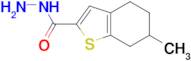 6-Methyl-4,5,6,7-tetrahydro-1-benzothiophene-2-carbohydrazide