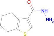 4,5,6,7-Tetrahydro-1-benzothiophene-3-carbohydrazide