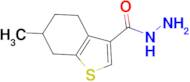 6-Methyl-4,5,6,7-tetrahydro-1-benzothiophene-3-carbohydrazide