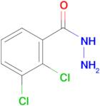 2,3-Dichlorobenzhydrazide