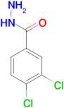 3,4-Dichlorobenzohydrazide