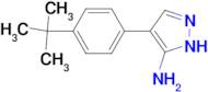 4-(4-tert-Butylphenyl)-1H-pyrazol-3-amine