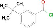 3-tert-Butylbenzoyl chloride