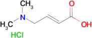 (2E)-4-(Dimethylamino)but-2-enoic acid hydrochloride