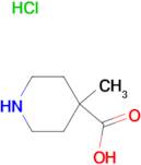 4-Methyl-4-piperidinecarboxylic acid hydrochloride