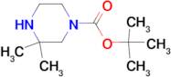 tert-Butyl 3,3-dimethylpiperazine-1-carboxylate