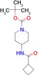 tert-Butyl 4-(cyclobutanecarbonylamino)piperidine-1-carboxylate