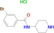 3-Bromo-N-(piperidine-4-yl)benzamido hydrochloride