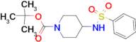 tert-Butyl 4-(phenylsulfonamido)piperidine-1-carboxylate