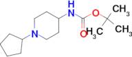 tert-Butyl 1-cyclopentylpiperidin-4-ylcarbamate