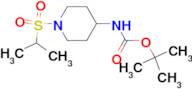 tert-Butyl 1-(isopropylsulfonyl)piperidin-4-ylcarbamate