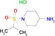 1-(Isopropylsulfonyl)piperidin-4-amine hydrochloride