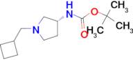 (R)-tert-Butyl 1-(cyclobutylmethyl)pyrrolidin-3-ylcarbamate