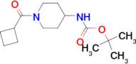 Tert-Butyl 1-(cyclobutanecarbonyl)piperidin-4-ylcarbamate