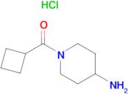 (4-Aminopiperidin-1-yl)(cyclobutyl)methanone hydrochloride