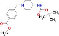 Methyl 4-[4-(tert-butoxycarbonylamino)piperidin-1-yl]methylbenzoate