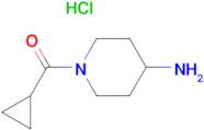 (4-Aminopiperidin-1-yl)(cyclopropyl)methanone hydrochloride