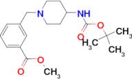 Methyl 3-[4-(tert-butoxycarbonylamino)piperidin-1-yl]methylbenzoate