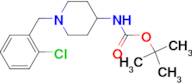 tert-Butyl 1-(2-chlorobenzyl)piperidin-4-ylcarbamate