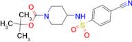 tert-Butyl 4-(4-cyanobenzenesulfonylamino)piperidine-1-carboxylate