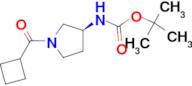 (S)-tert-Butyl 1-(cyclobutanecarbonyl)pyrrolidin-3-ylcarbamate