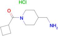 [4-(Aminomethyl)piperidin-1-yl](cyclobutyl)methanone hydrochloride