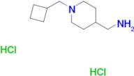 [1-(Cyclobutylmethyl)piperidin-4-yl]methanamine dihydrochloride