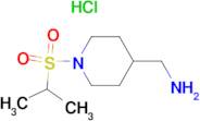 [1-(Isopropylsulfonyl)piperidin-4-yl]methanamine hydrochloride