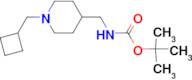 tert-Butyl [1-(cyclobutylmethyl)piperidin-4-yl]methylcarbamate