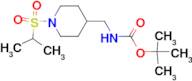 tert-Butyl [1-(isopropylsulfonyl)piperidin-4-yl]methylcarbamate